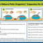 All Shins & Grins Capsules - Antioxidant Super Food Bone, Eye, Teeth & Skin Support Dog & Cat* - Your Pet Connection