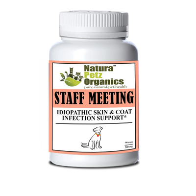 Staff Meeting* Idiopathic Skin & Coat Infection* Support For Dogs And Cats* - Your Pet Connection