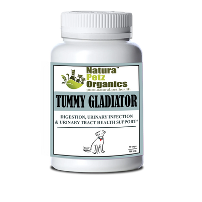 Tummy Gladiator - Digestion, Adjunctive Reflux & Urinary Tract Support* - Your Pet Connection