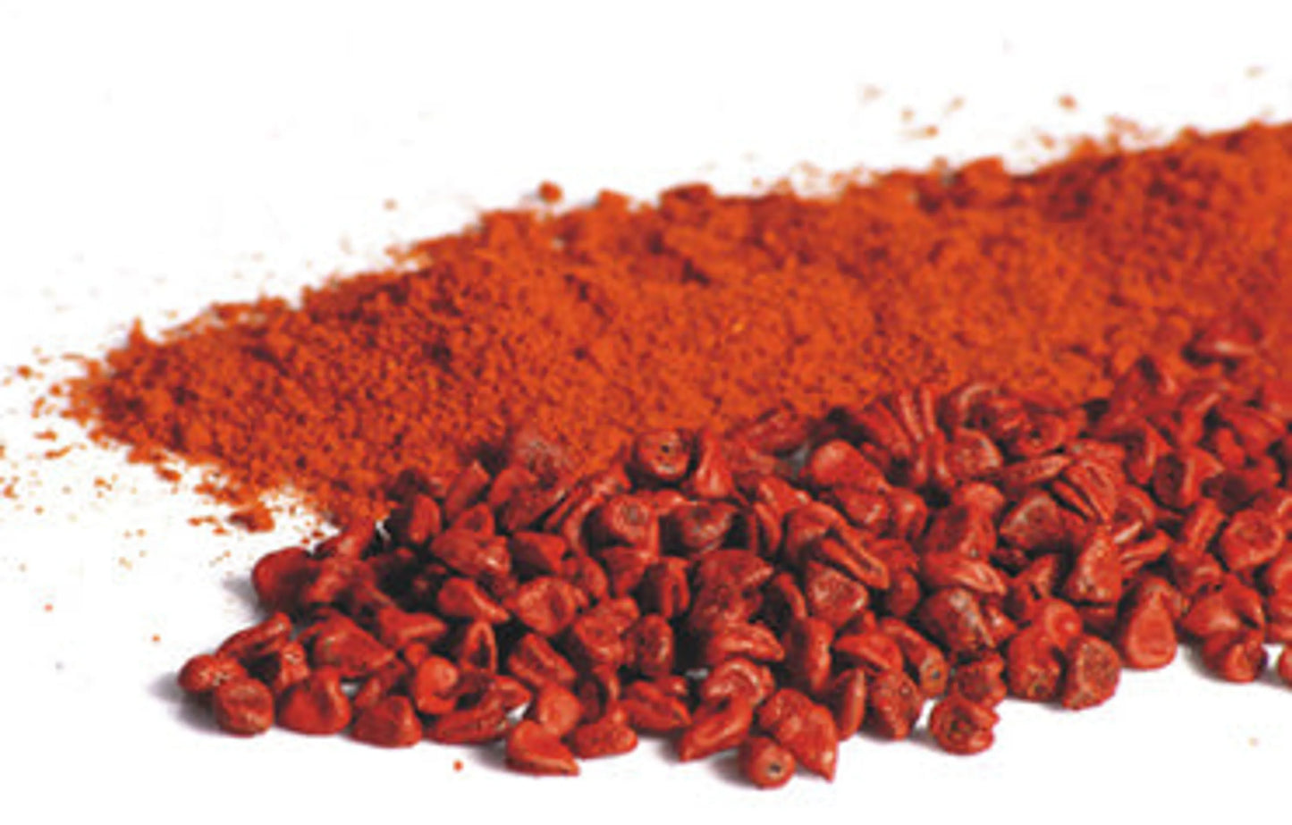 Meal Topper Probiotic Digestive, Bladder & Urinary Tract Support* - Your Pet Connection