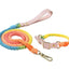 Luxe Royal Leather Rope Leash and Collar Set  - Size:   | Pack Of: 1 - Your Pet Connection