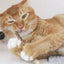 Matatabi Dental Sticks - Your Pet Connection