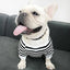 Stripe Style - Matching Pet and Owner Clothing Set - Your Pet Connection