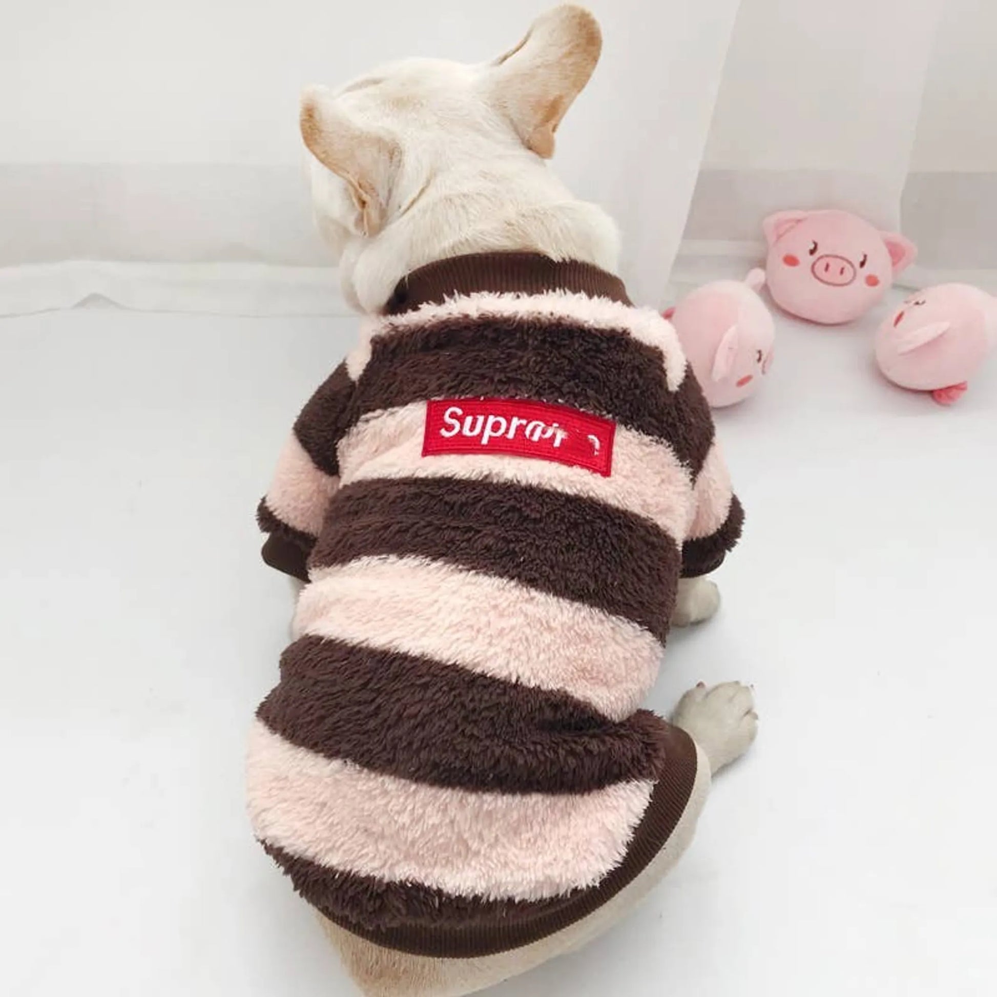 Super Dog - Matching Pet and Owner Clothing Set - Your Pet Connection