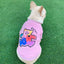 Teddy Bear - Matching Pet and Owner Clothing Set - Your Pet Connection