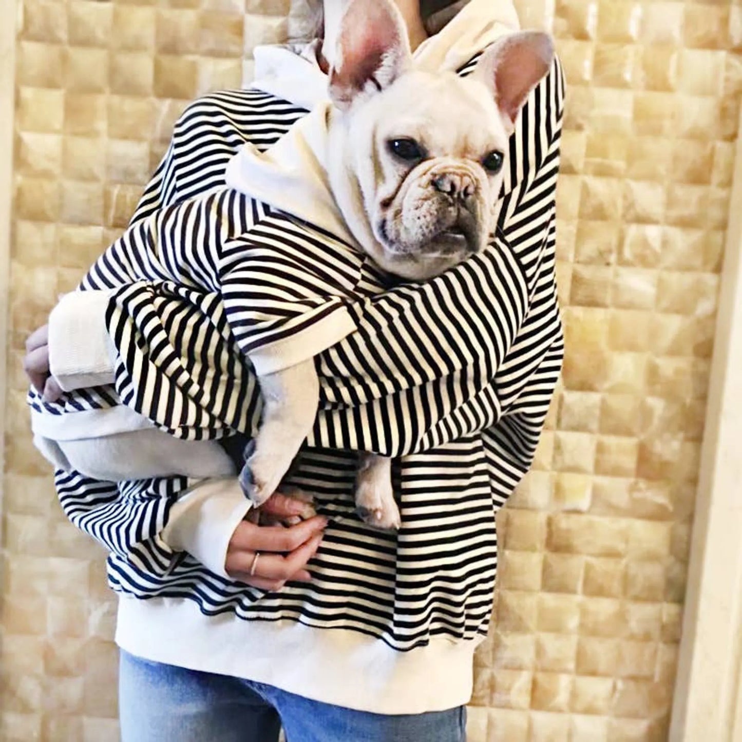 Black Stripe - Matching Pet and Owner Clothing Set - Your Pet Connection