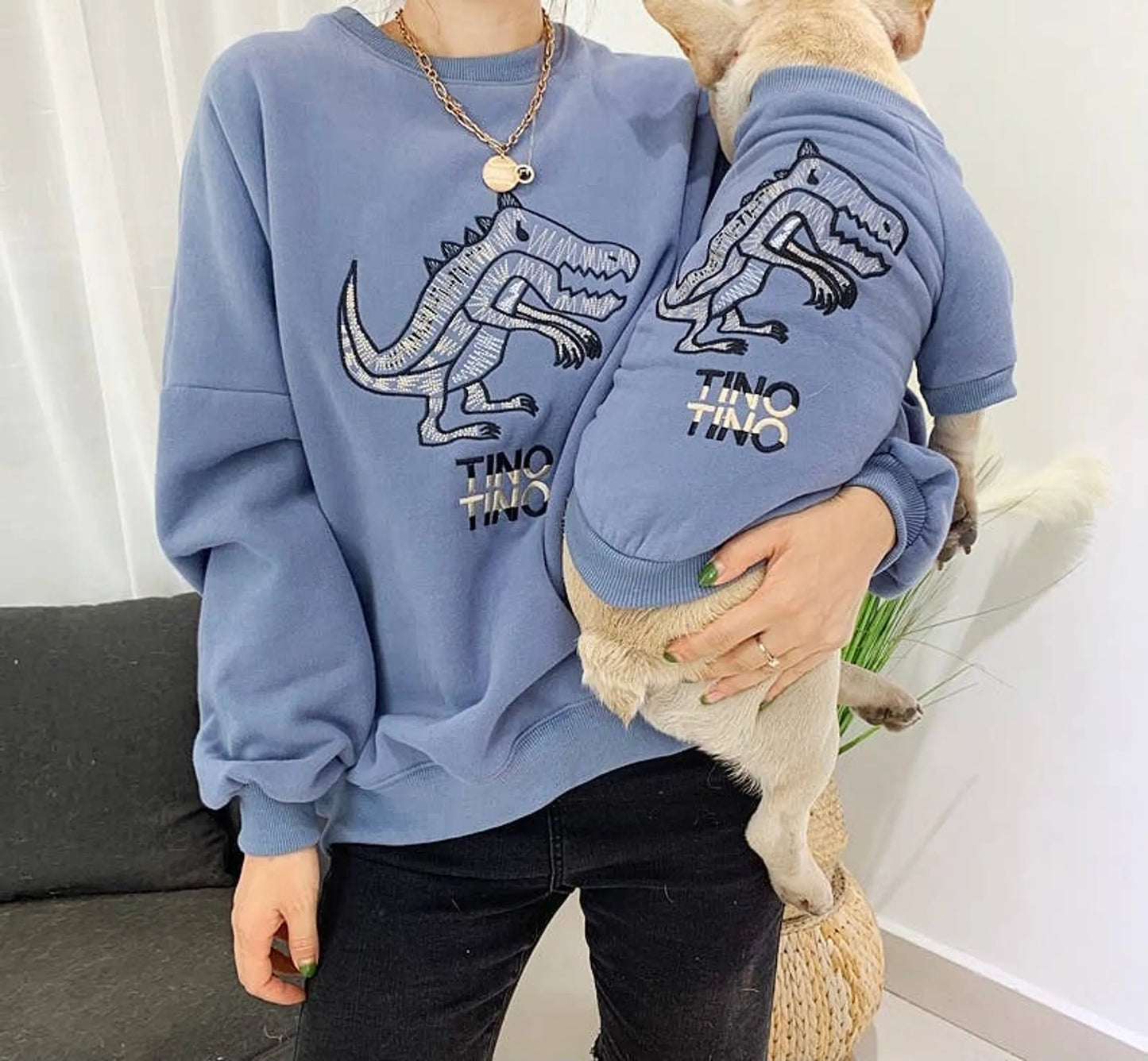 Dinosaur Love - Matching Pet and Owner Clothing Set - Your Pet Connection