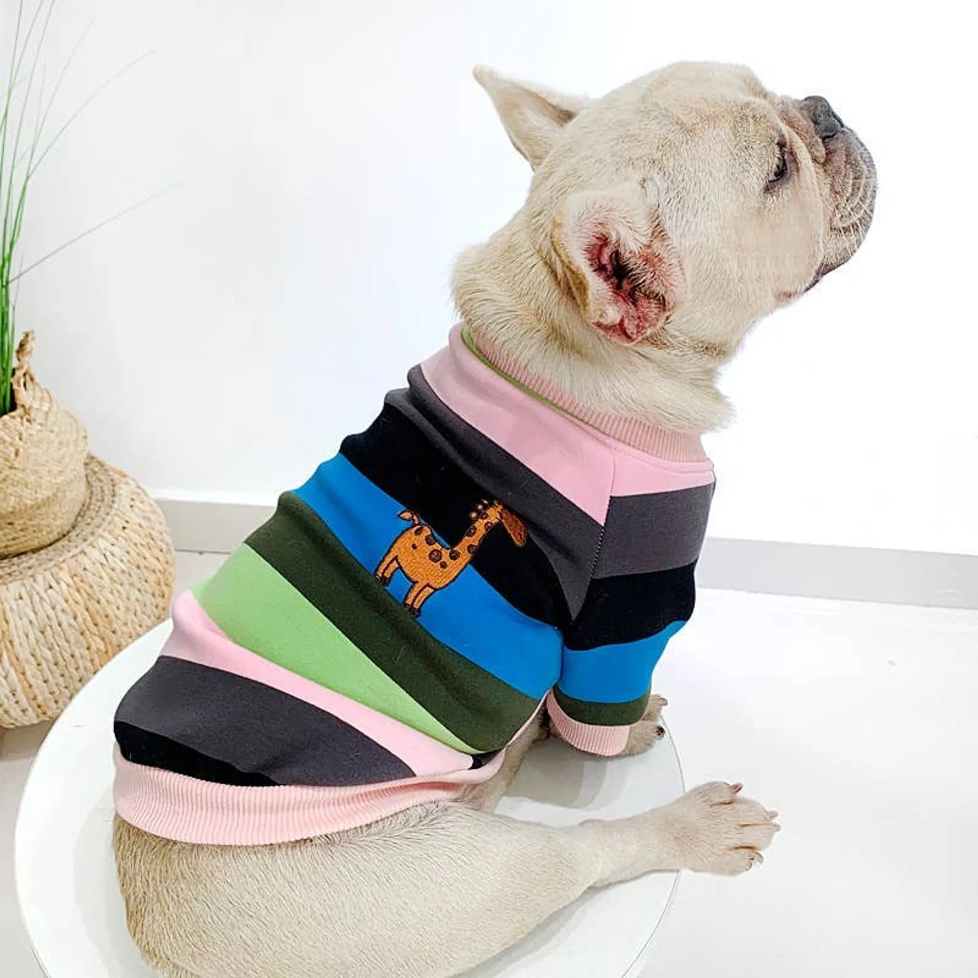 Giraffe Stripe - Matching Pet and Owner Clothing Set - Your Pet Connection