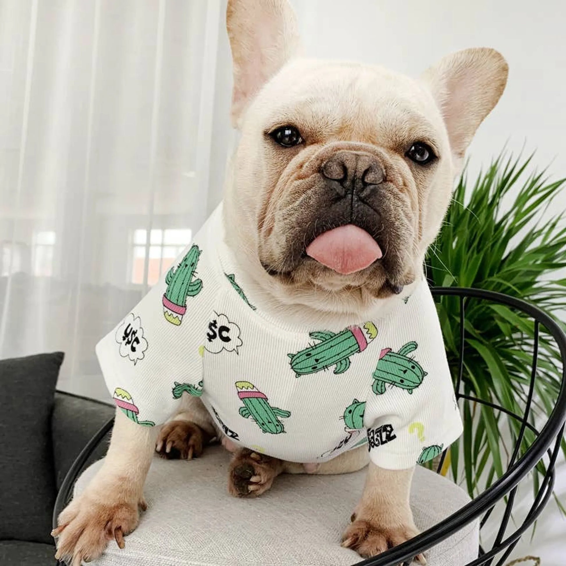 Green Dinosaur - Matching Pet and Owner Clothing Set - Your Pet Connection