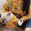 Animal Pattern - Matching Pet and Owner Clothing Set - Your Pet Connection