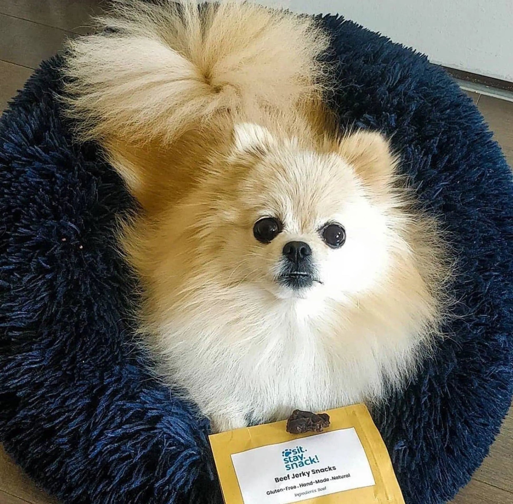 Marshmallow Pets Bed - Your Pet Connection