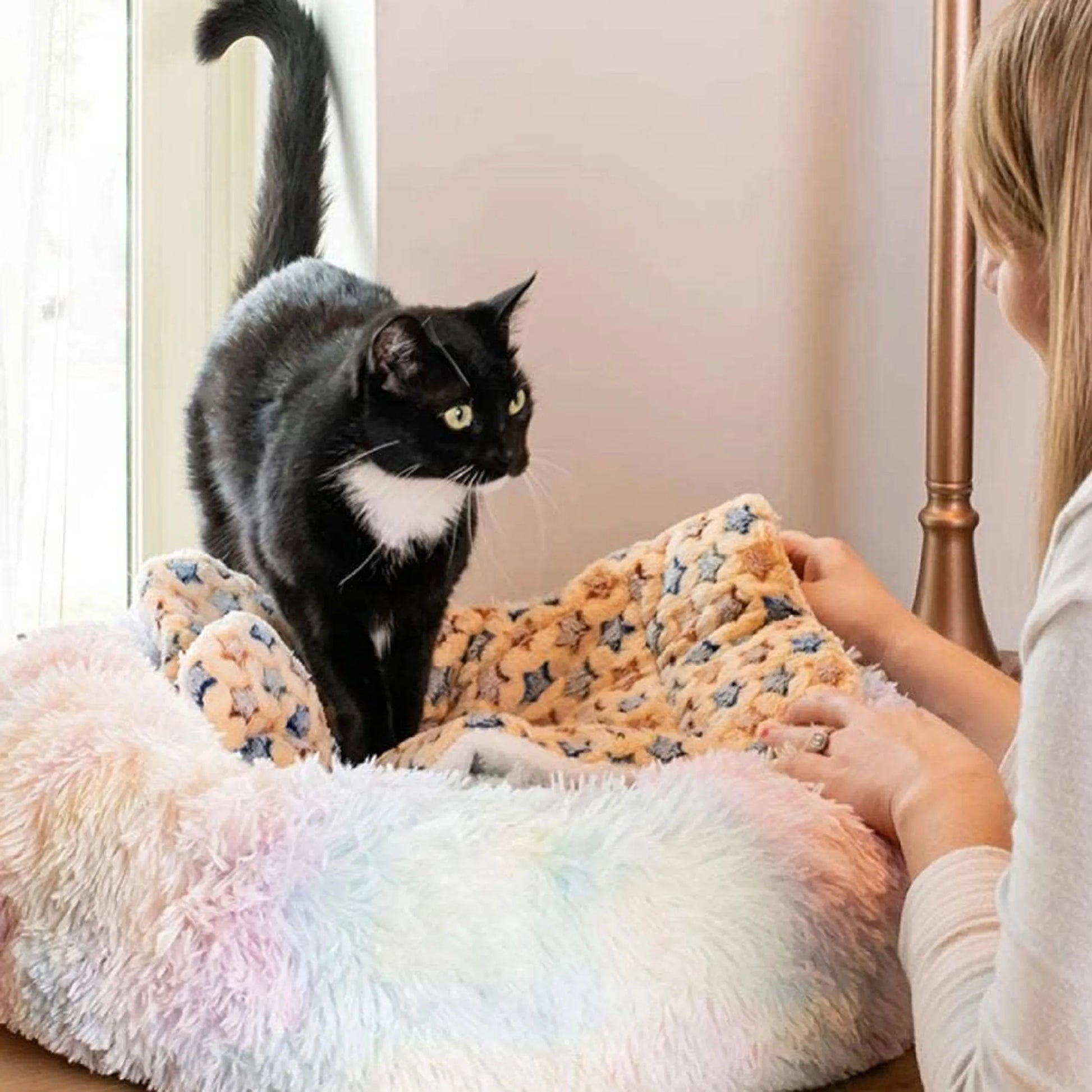Marshmallow Pets Bed - Your Pet Connection