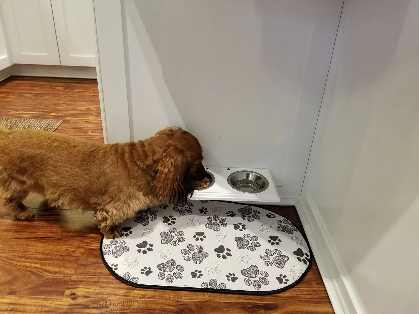 Champion Bowl Pet Food Holder - Pack Of: 1 - Your Pet Connection