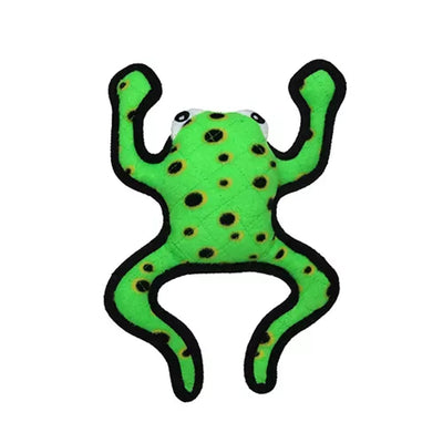 Desert Frog leaping - Your Pet Connection