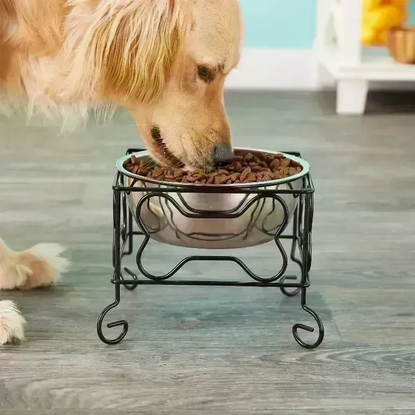 YML Wrought Iron Stand with Single Stainless Steel Feeder Bowl - Your Pet Connection