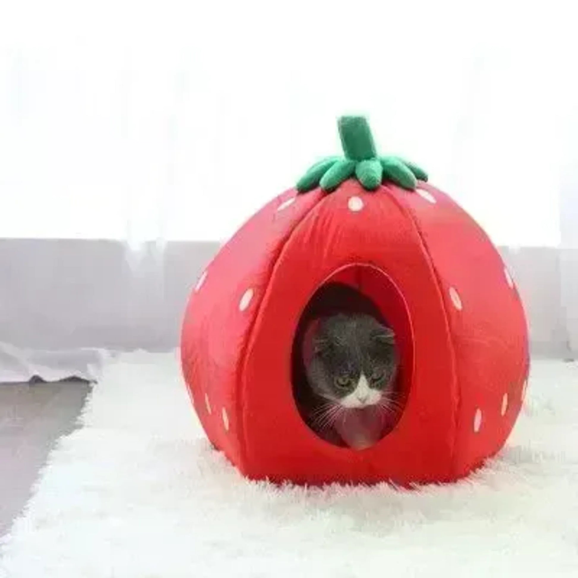 YML Strawberry Pet Bed House - Your Pet Connection