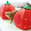 YML Strawberry Pet Bed House - Your Pet Connection