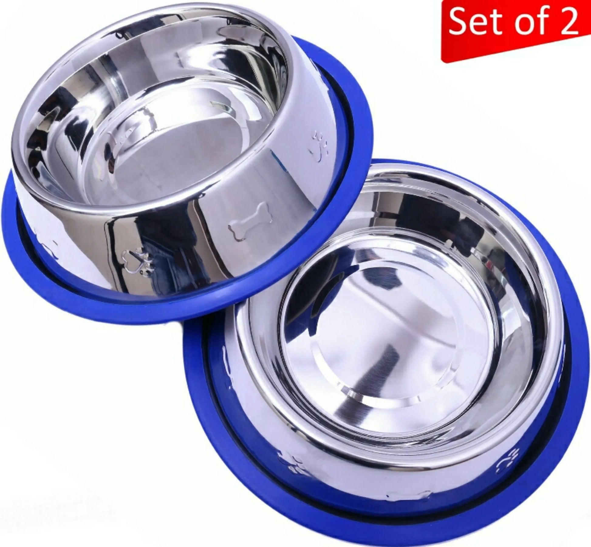 Etched Stainless Steel Dog Bowls with Blue Silicone Base - Your Pet Connection