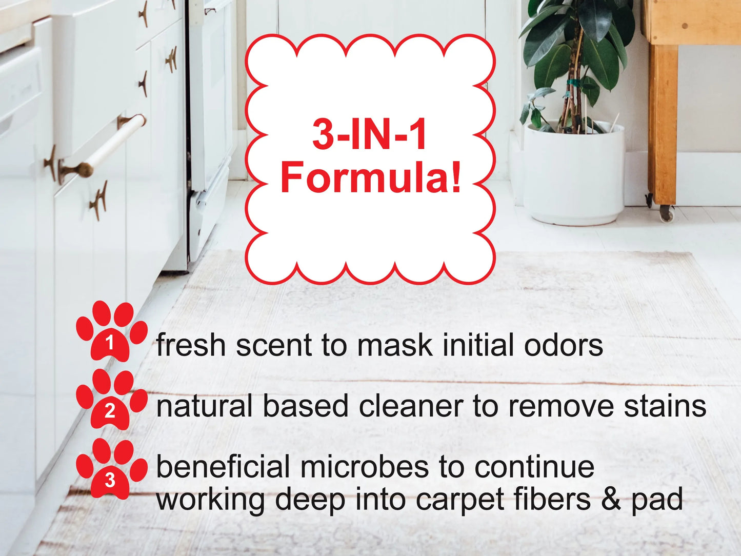 Mr. Peanut's Naturals Enzymatic Stain and Odor Remover - Your Pet Connection