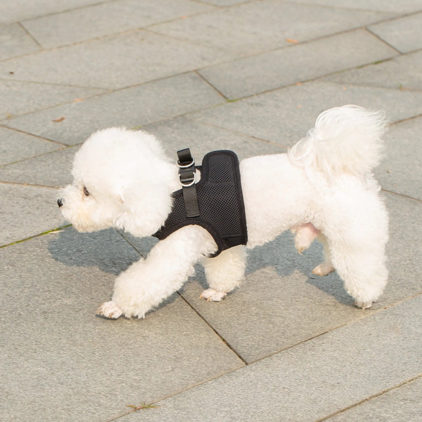Mr. Peanut's PupTrek Small Dog/Cat Soft Mesh Step In Harness Vest - Your Pet Connection