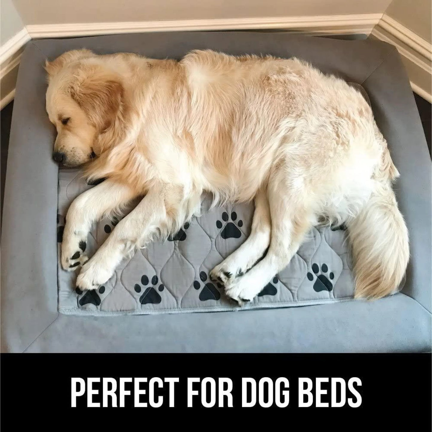 Mr. Peanut's Washable Reusable Pee Pads - Thermal Waterproof and Leakproof Pet Carrier Comfort Mat - Your Pet Connection