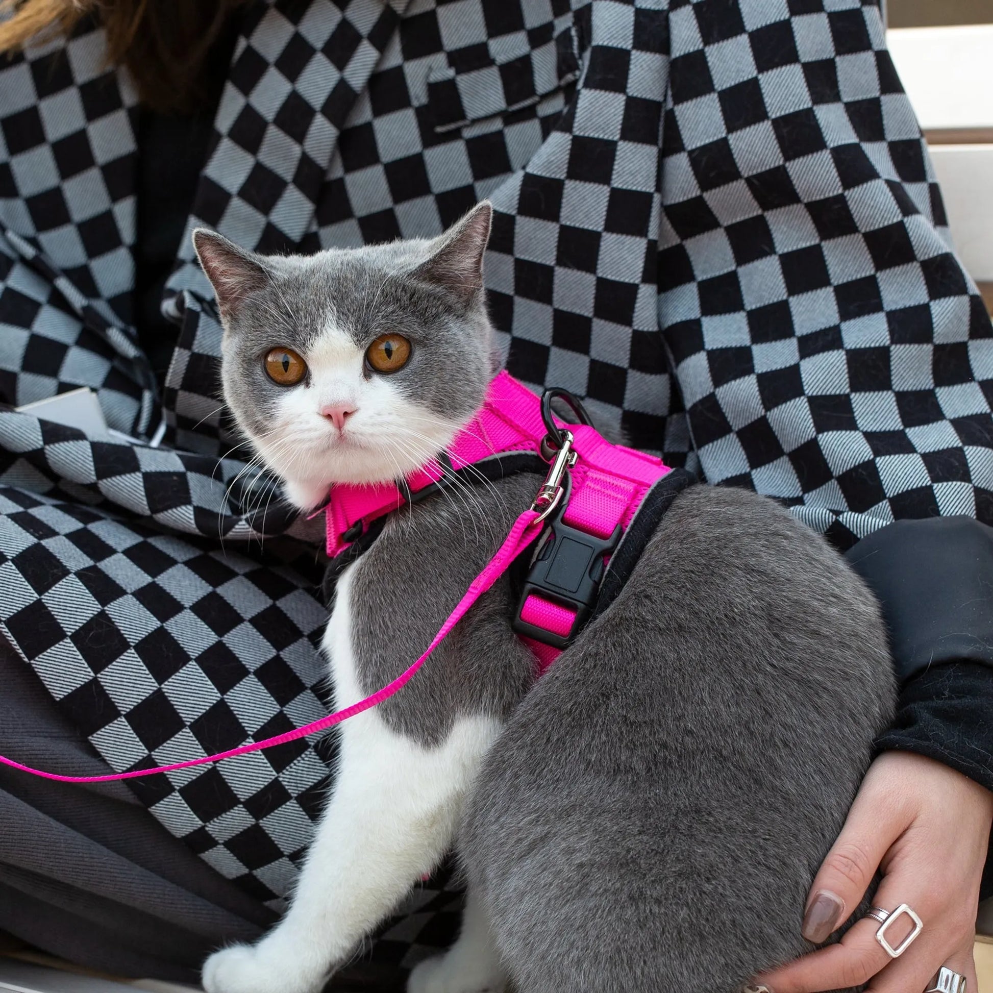 Mr. Peanut's PurrTrek Reflective Cat Harness with Matching Leash - Your Pet Connection