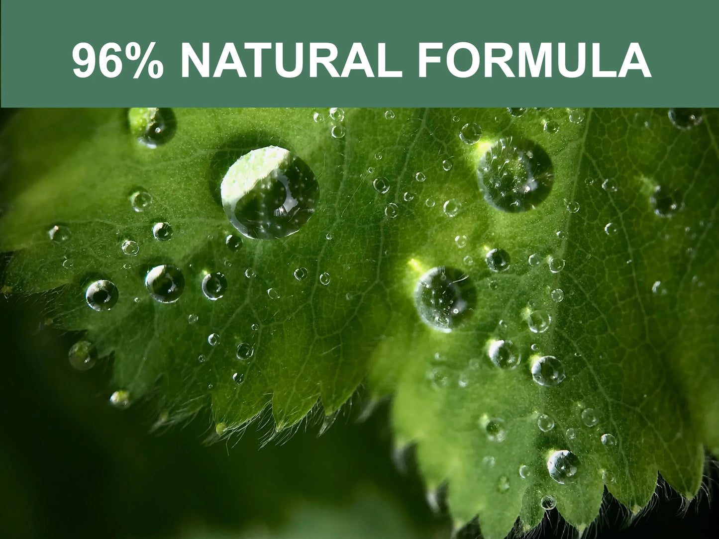 Mr. Peanut's Premium Products Organic Pet Wipes 6x10 Inches