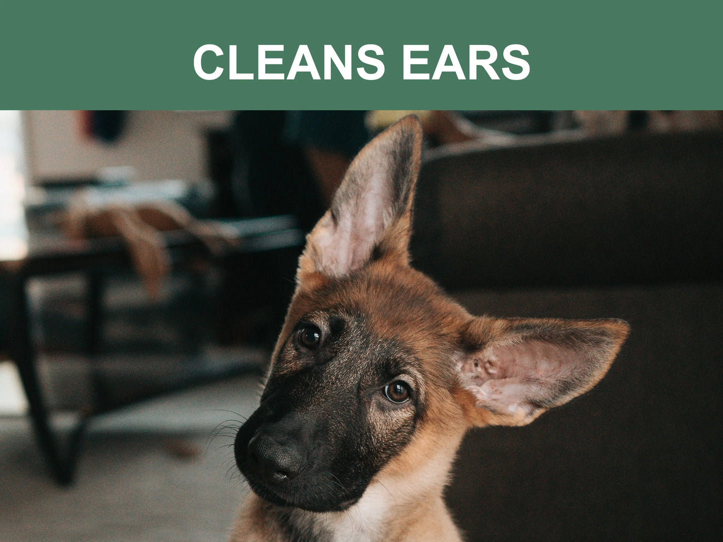 Mr. Peanut's Naturals Pet Wipes - Your Pet Connection