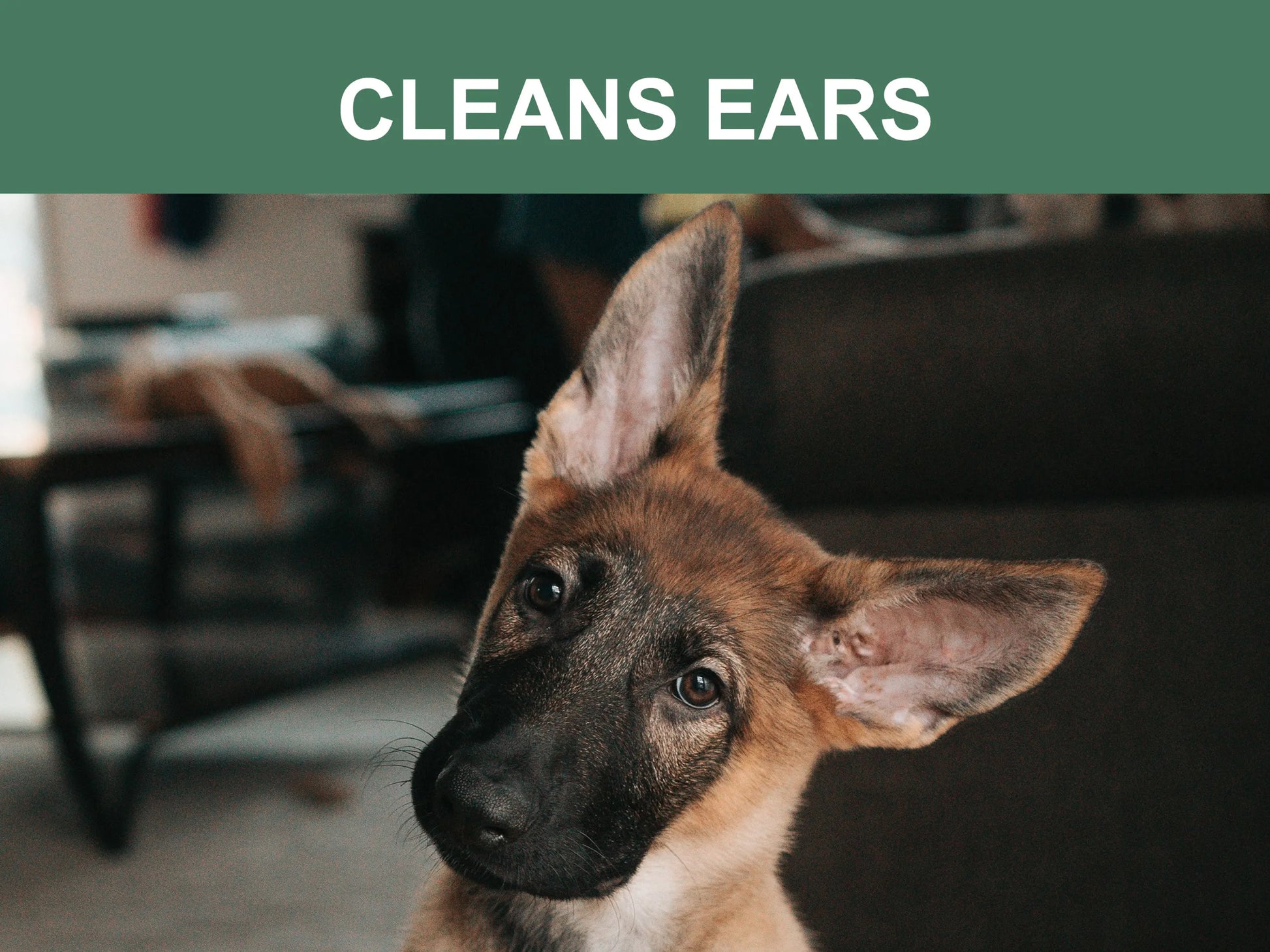 Mr. Peanut's Naturals Pet Wipes - Your Pet Connection