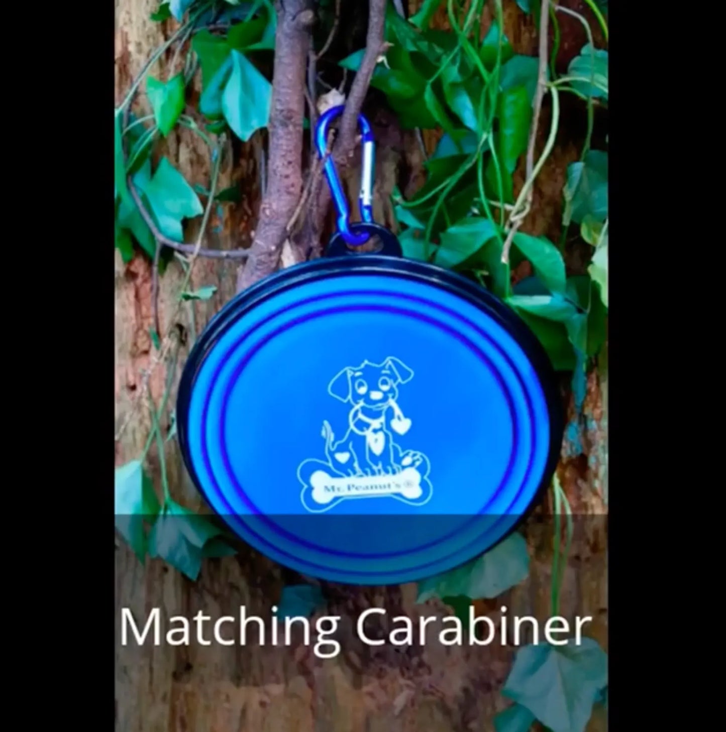 Single Blue Silicone Collapsible Travel Bowl - Your Pet Connection