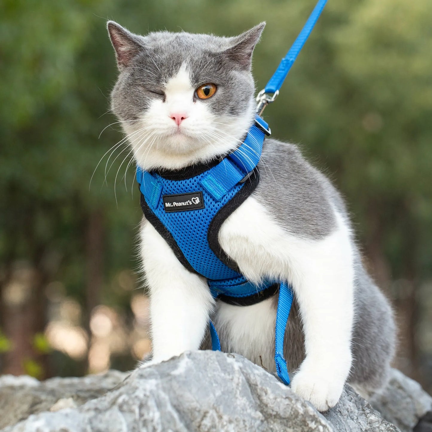 Mr. Peanut's PurrTrek Reflective Cat Harness with Matching Leash - Your Pet Connection