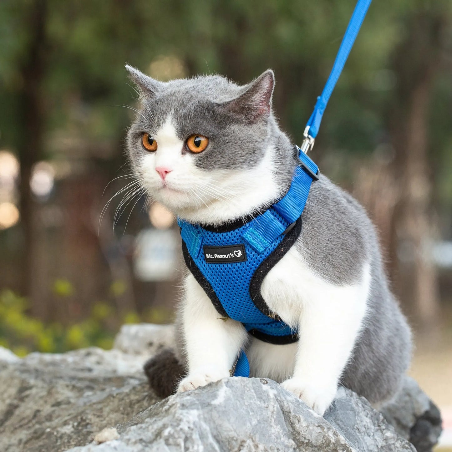 Mr. Peanut's PurrTrek Reflective Cat Harness with Matching Leash - Your Pet Connection