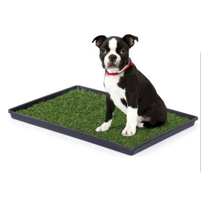 Mr. Peanut's Potty Place - Artificial Grass Puppy Pad for Dogs and Small Pets - Your Pet Connection