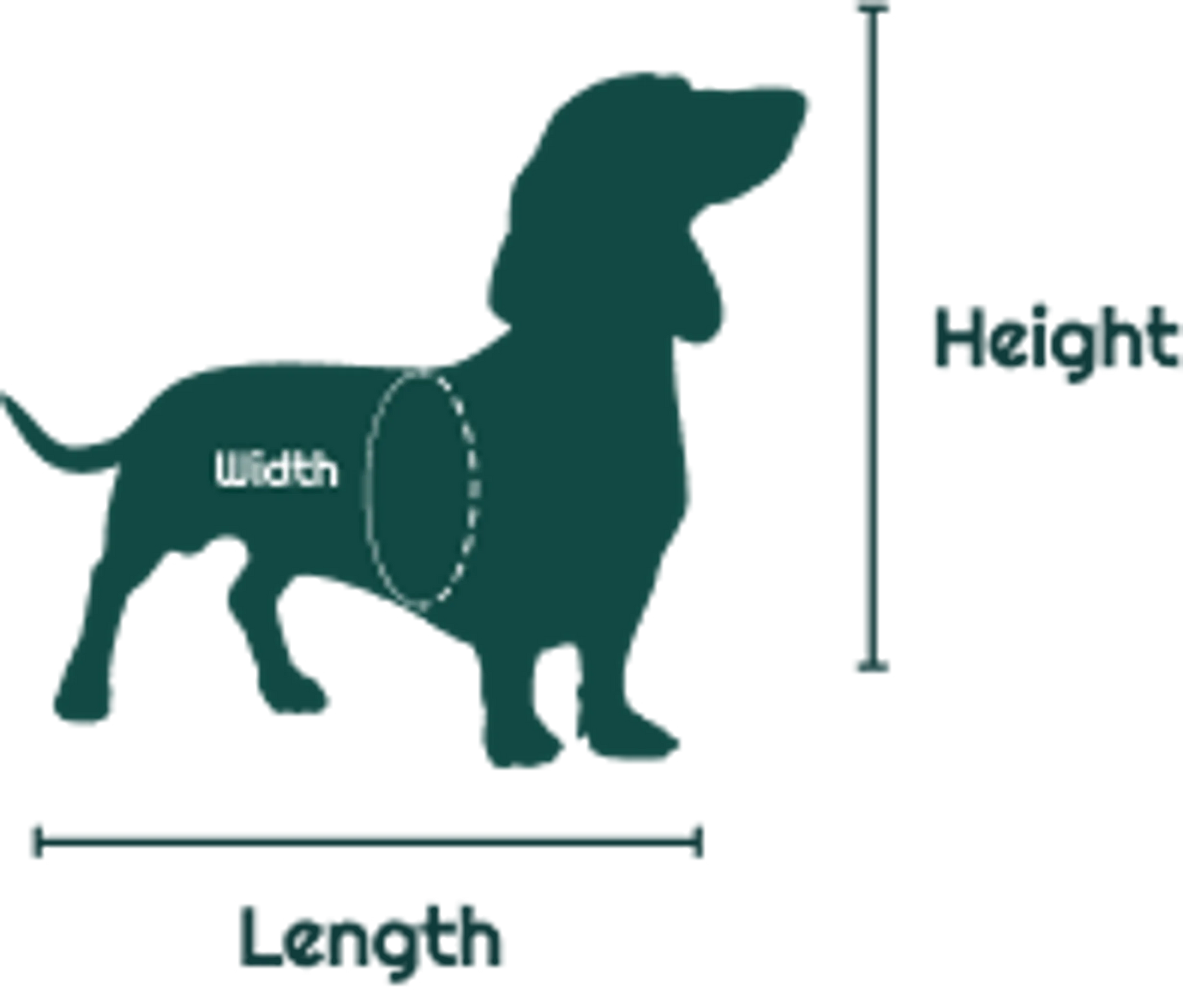 Mr. Peanut's Gold Series Pet Carrier - Your Pet Connection