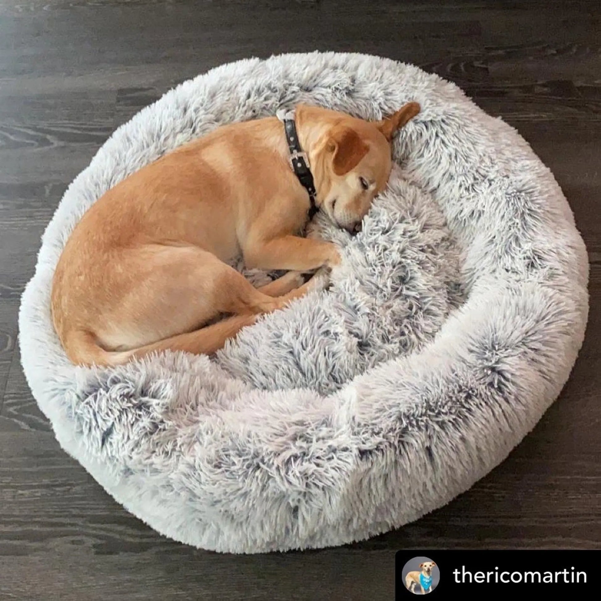 Mr. Peanut's OrthoPlush Pet Bed - Your Pet Connection