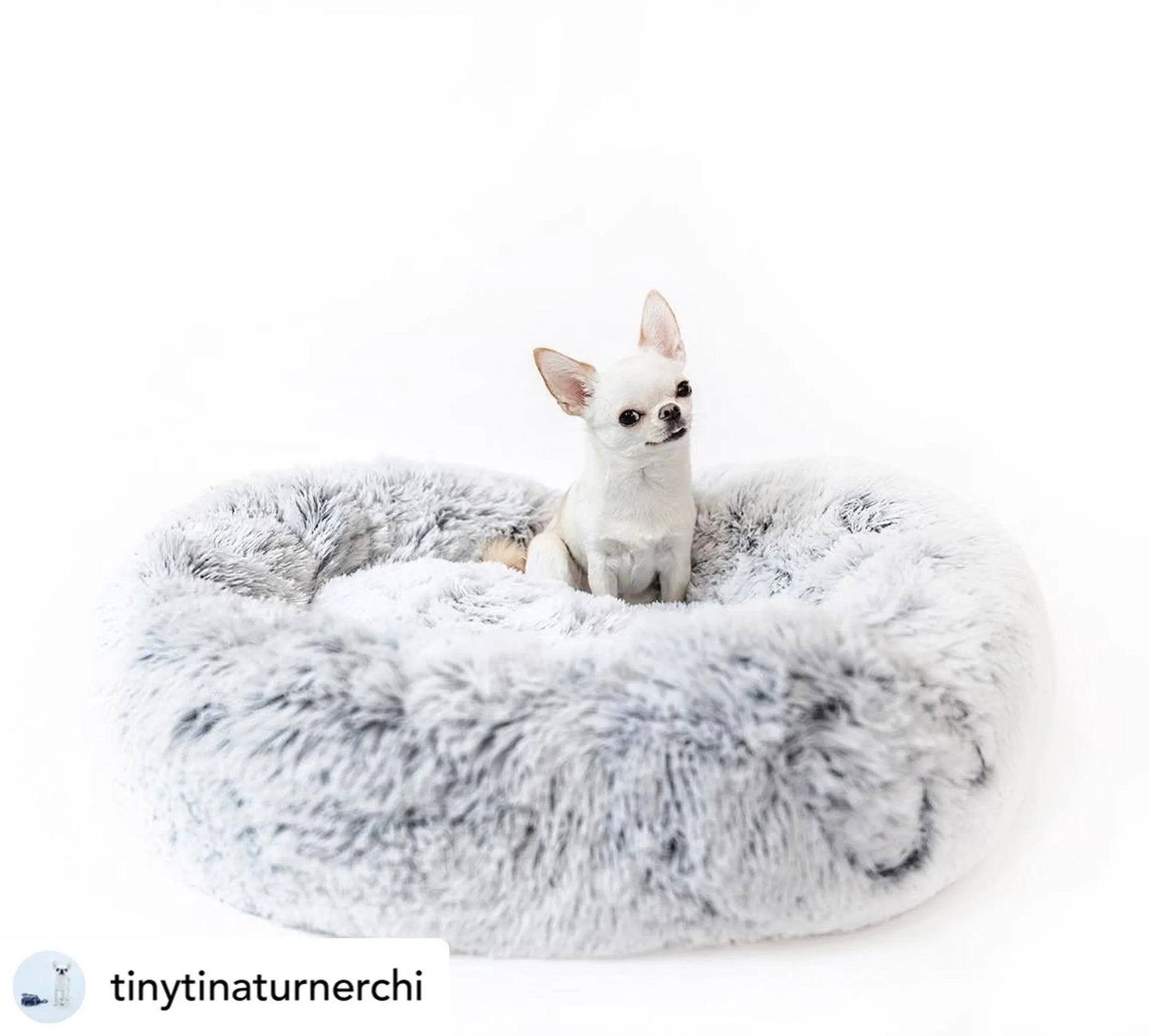 Mr. Peanut's OrthoPlush Pet Bed - Your Pet Connection