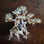 Dragonwood Bonsai Wood Nano Size 6" - Your Pet Connection
