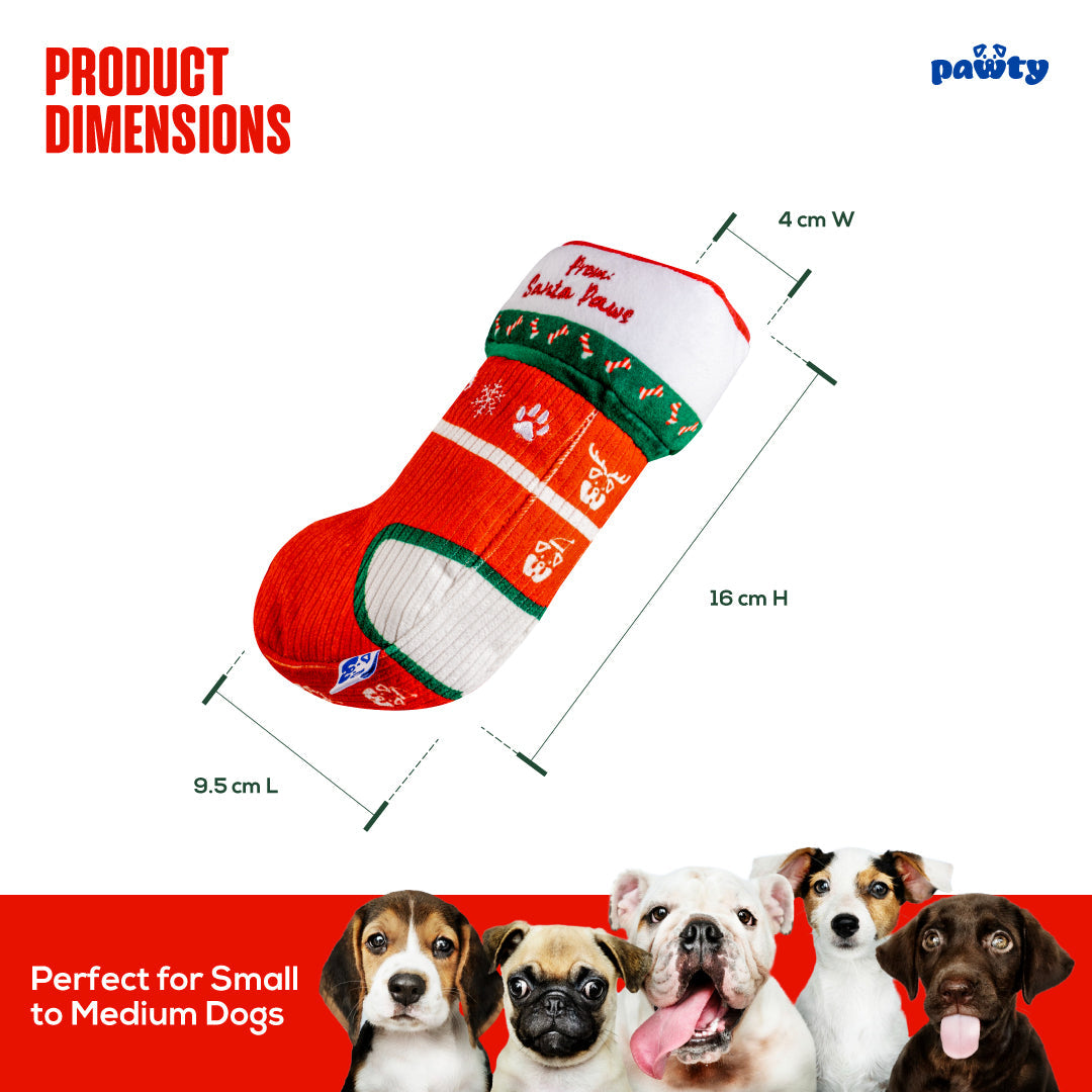 Christmas Sock - Your Pet Connection
