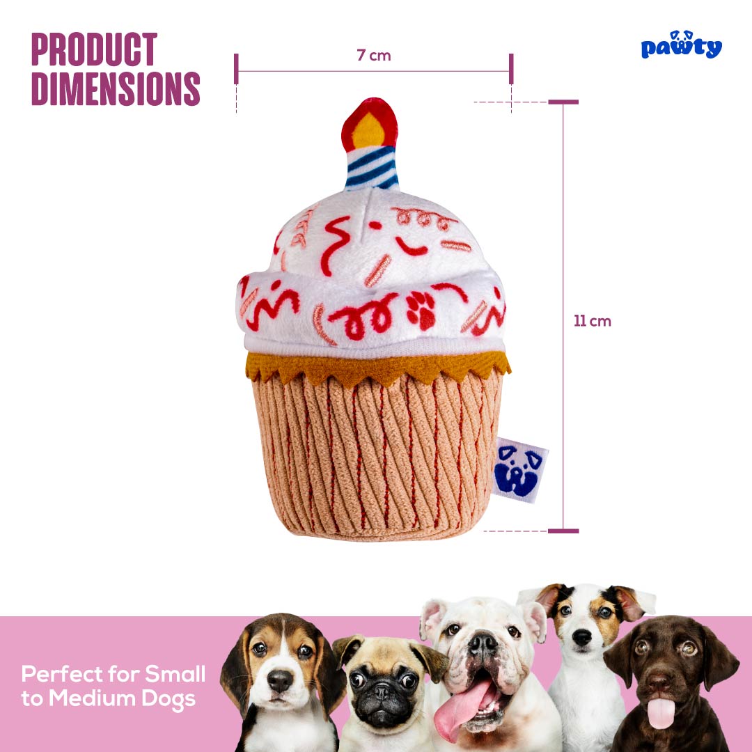 Cupcake - Your Pet Connection