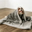 Wag & Wonder Cozy Fleece Pet Blanket 54x60