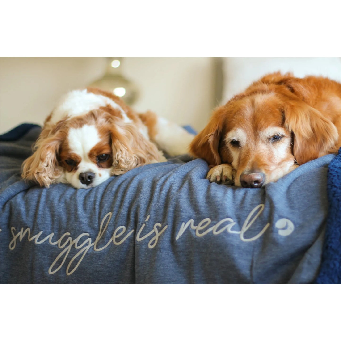 Midnight Throw Blanket - Your Pet Connection