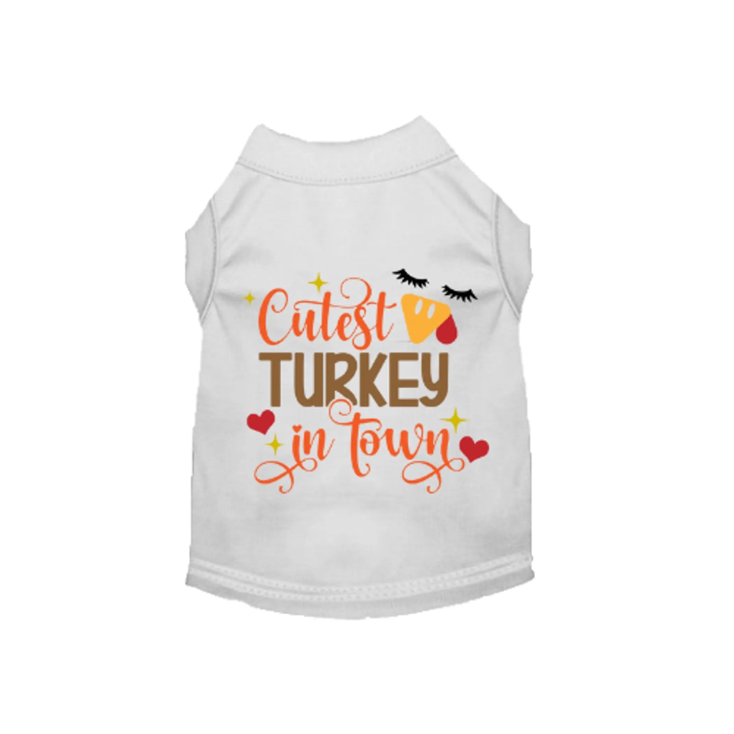 Cutest Turkey in Town - Your Pet Connection