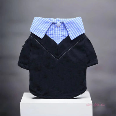 Dapper Boy Collar Dog Shirt - Your Pet Connection