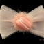 Macaroon Tulle Dog Hair Bows - Your Pet Connection