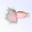 Mink PomPom Macaroon Dog Hair Clip - Your Pet Connection