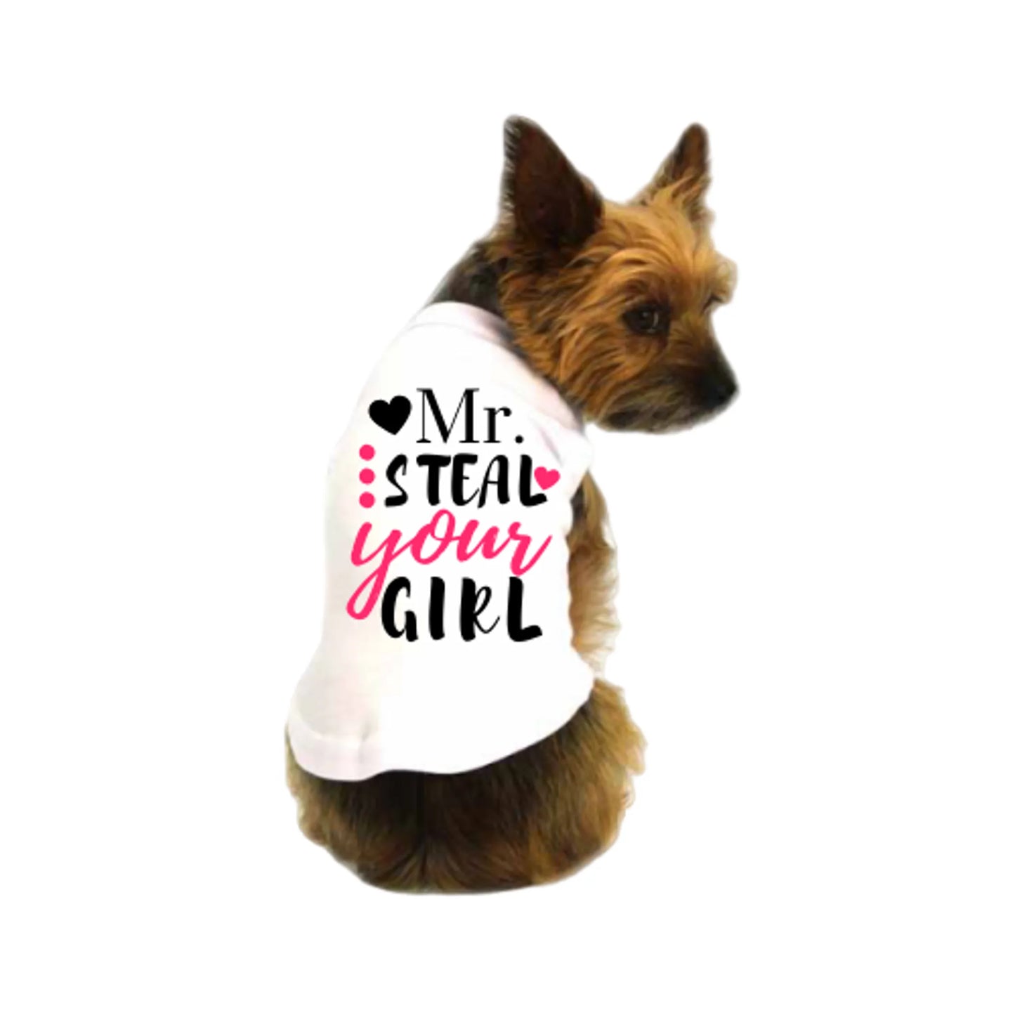 Bark Fifth Avenue Mr. Steal Your Girl T-Shirt Small