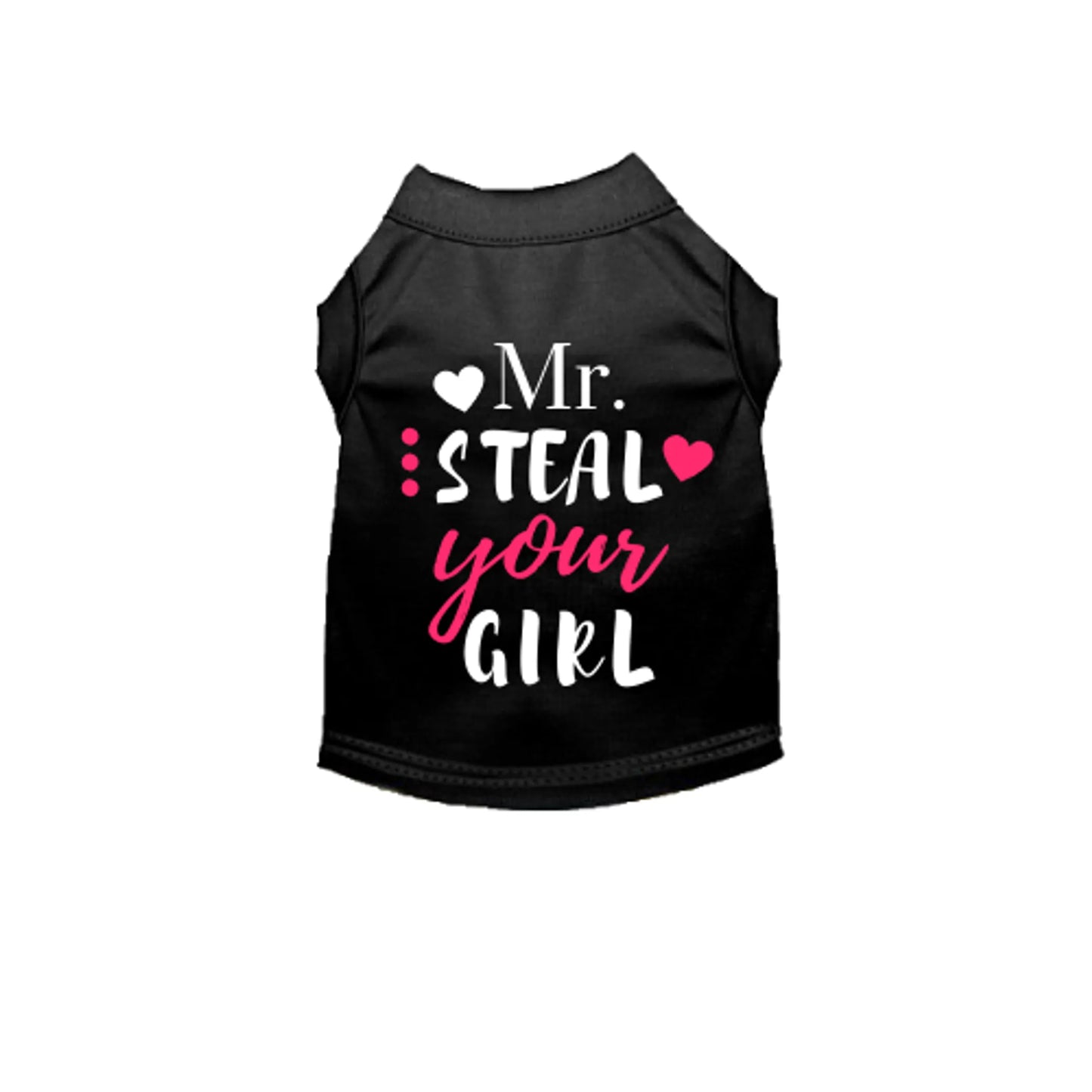 Mr. Steal Your Girl - Your Pet Connection