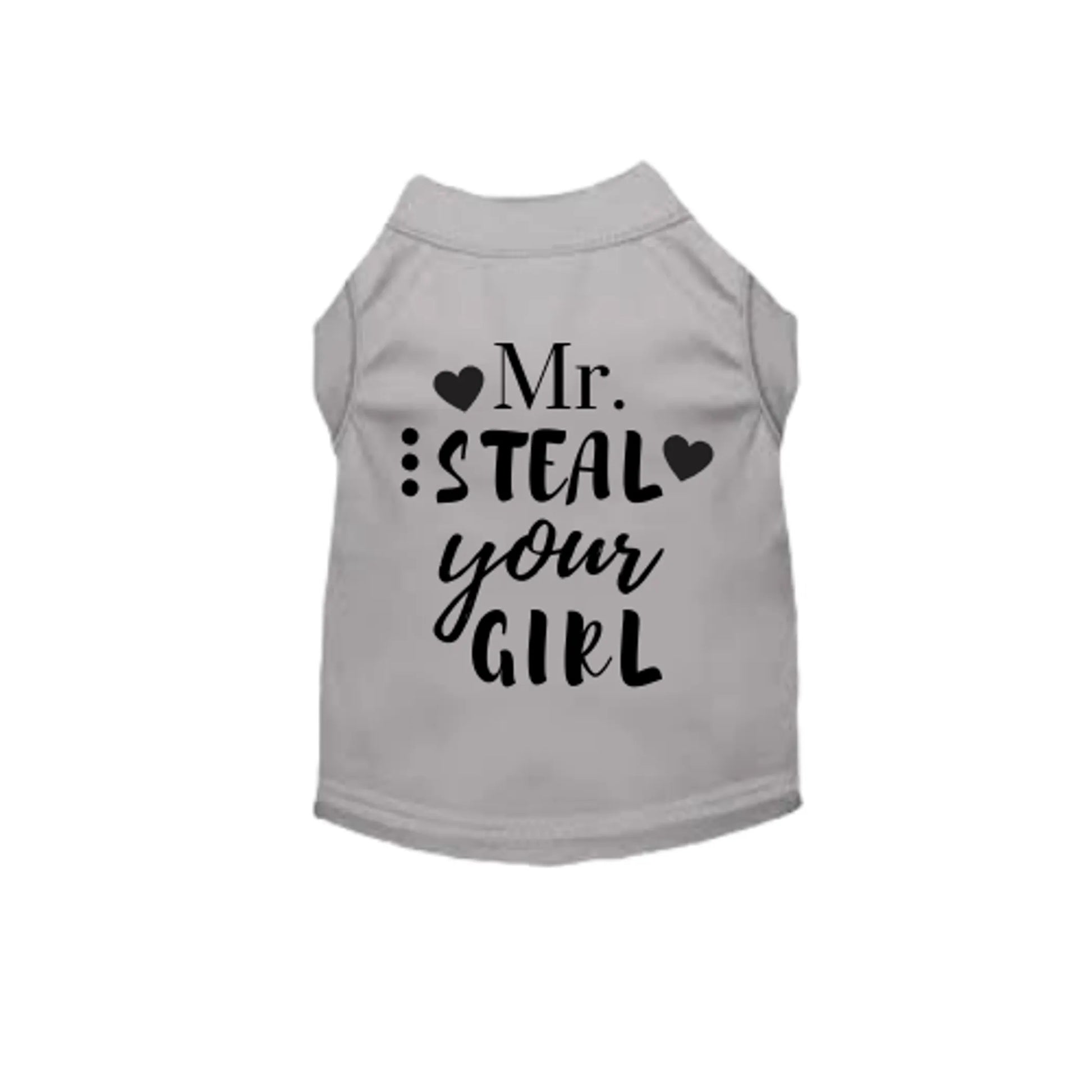Mr. Steal Your Girl - Your Pet Connection