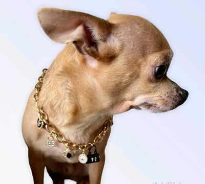 Bark Fifth Avenue Elegant Dog Collars XS to XL