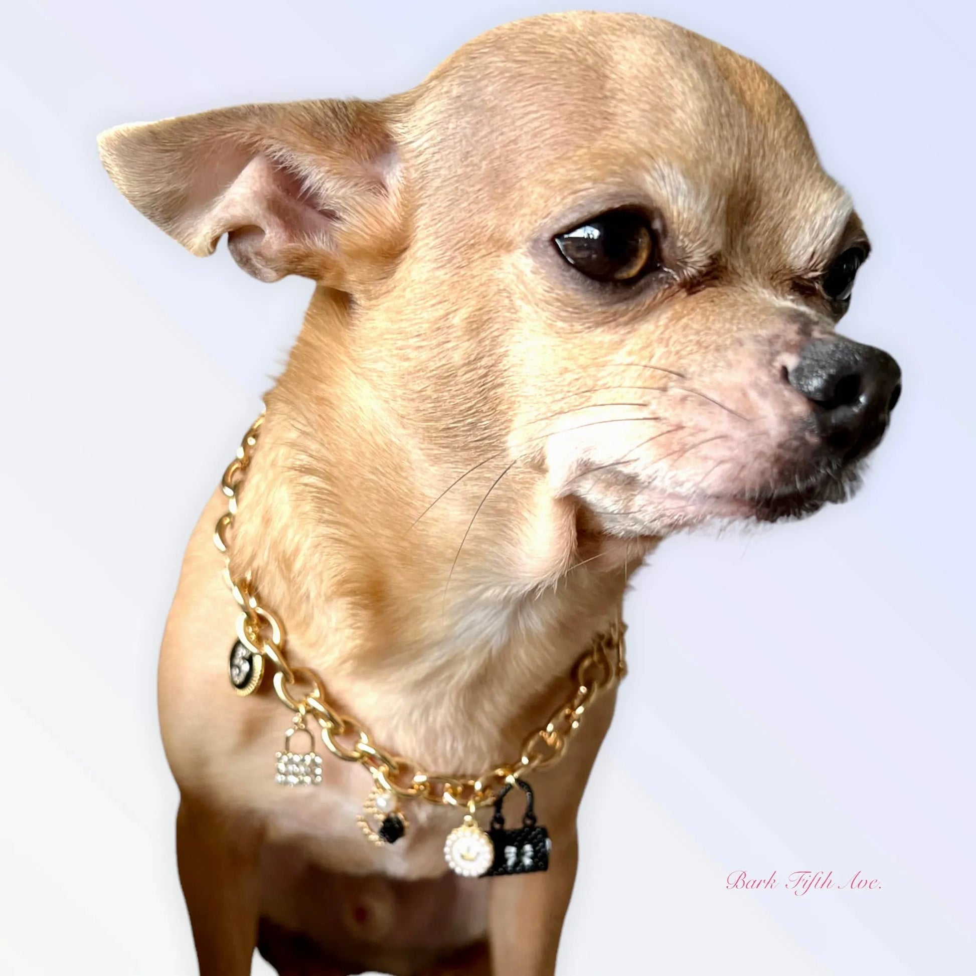 My Dainty Charm Necklace - Your Pet Connection